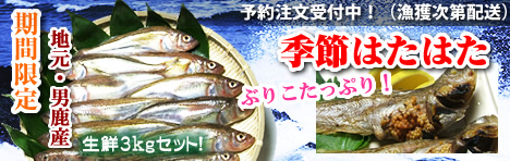 はたはた