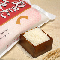 男鹿産・あきたこまち