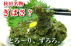 ぎばさ あかもく