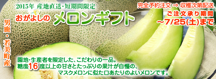 マスク美人メロン
