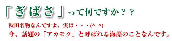 「ぎばさ」って何ですか？