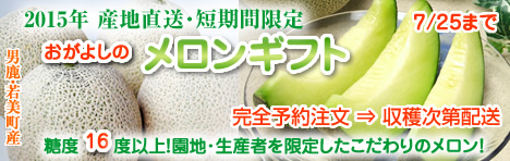 マスクメロン 若美町産