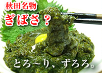 ぎばさ あかもく